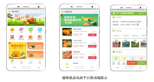 智慧農業新篇章 1.28億元數字化服務，守護農產品安全生命線
